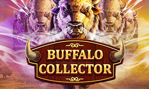 123win Buffalo Collector