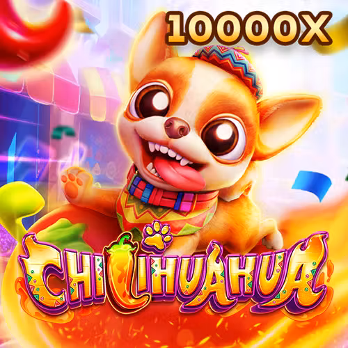 Fa Chai Chihuahua